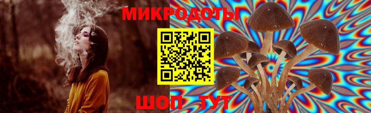 Галлюциногенные грибы Psilocybine cubensis  Псилоцибиновые грибы мухоморы  Ефремов  Вход с VPN 