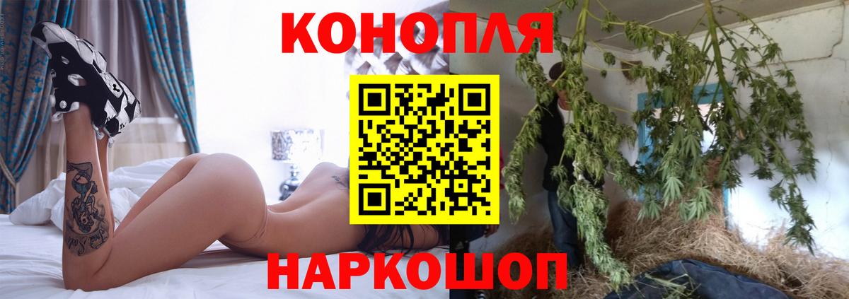 Канабис гибрид Ефремов